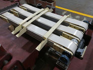 Metal la bobina che elabora il servo alimentatore del rotolo di Nc con il carrello di caricamento per lo strato/la plastica